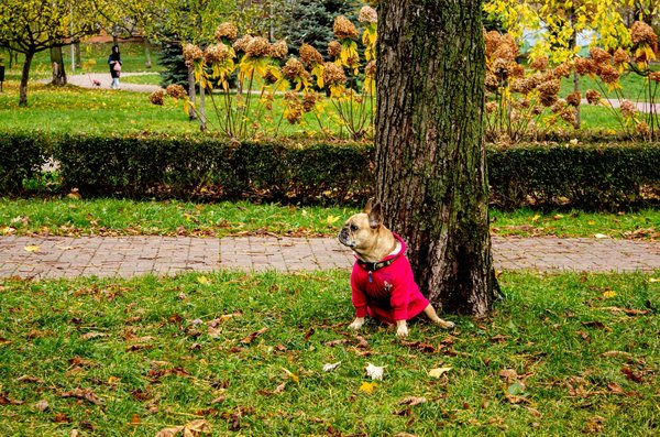 Colmar : trouvez un psychothérapeute pour votre bien-être